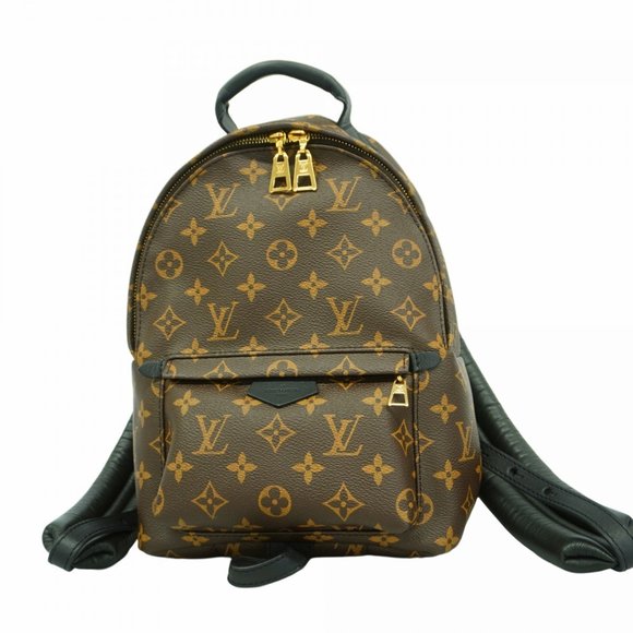 Louis Vuitton Monogram Palm Springs Backpack PM M44871 Brown Women's - Picture 1 of 10